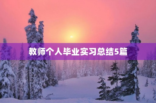 教师个人毕业实习总结5篇