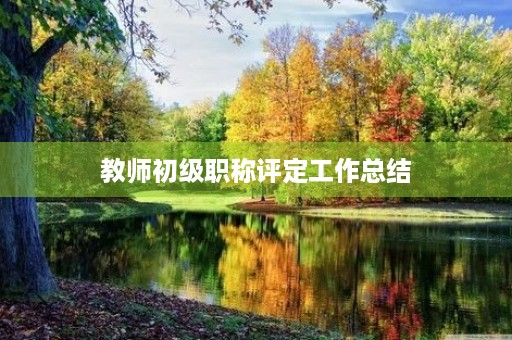 教师初级职称评定工作总结