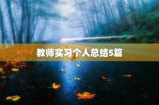 教师实习个人总结5篇