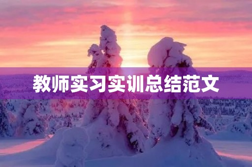 教师实习实训总结范文