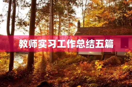 教师实习工作总结五篇 教师实习工作总结五篇