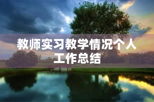 教师实习教学情况个人工作总结