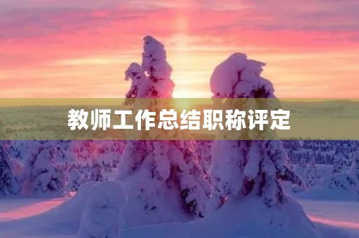 教师工作总结职称评定