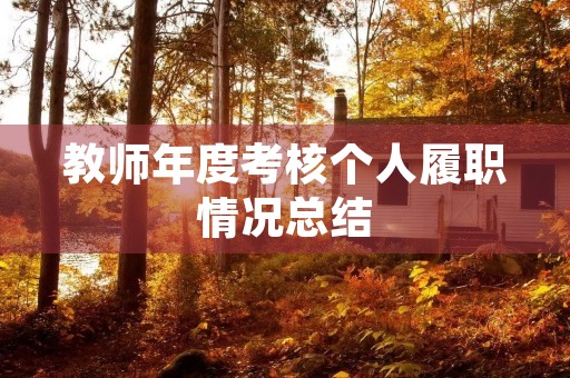 教师年度考核个人履职情况总结