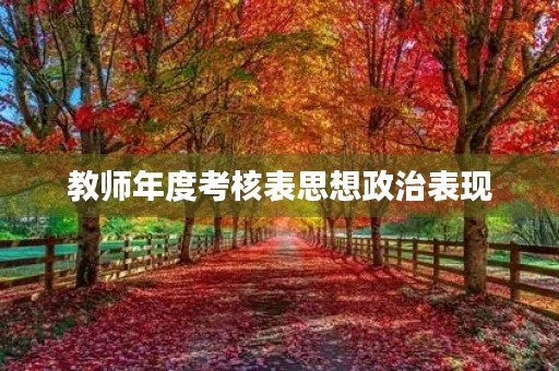 教师年度考核表思想政治表现