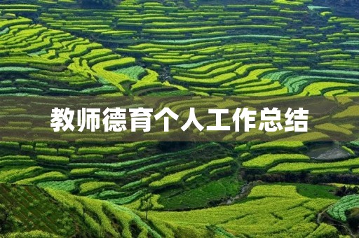 教师德育个人工作总结