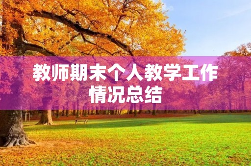 教师期末个人教学工作情况总结