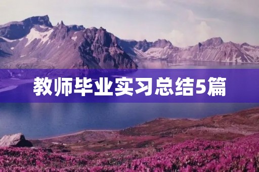 教师毕业实习总结5篇 教师毕业实习总结5篇