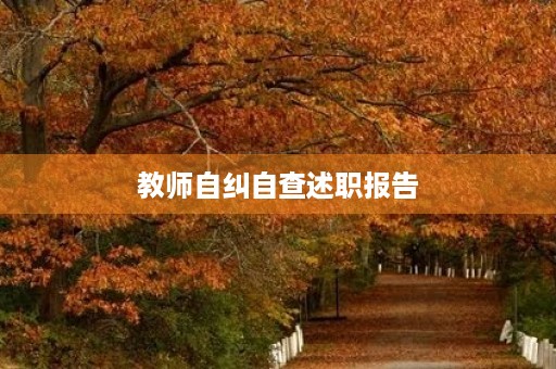 教师自纠自查述职报告