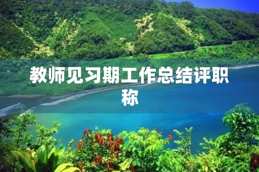 教师见习期工作总结评职称