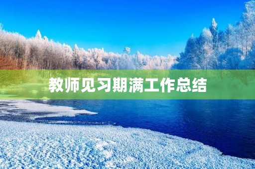 教师见习期满工作总结