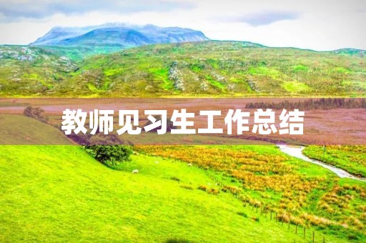 教师见习生工作总结