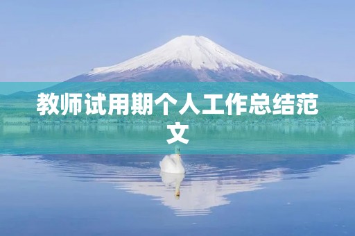 教师试用期个人工作总结范文