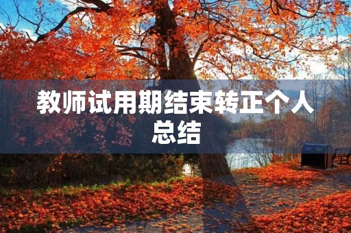 教师试用期结束转正个人总结
