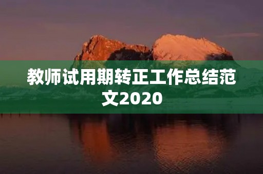 教师试用期转正工作总结范文2020