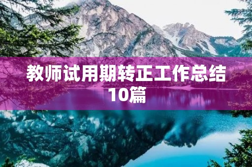 教师试用期转正工作总结10篇