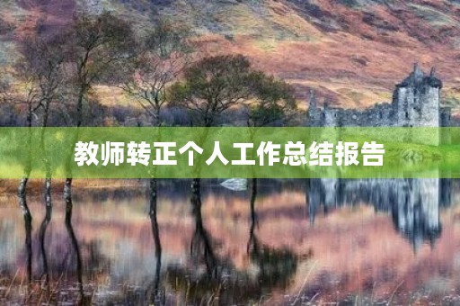 教师转正个人工作总结报告