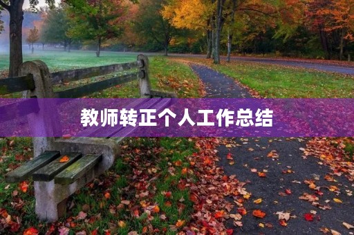 教师转正个人工作总结