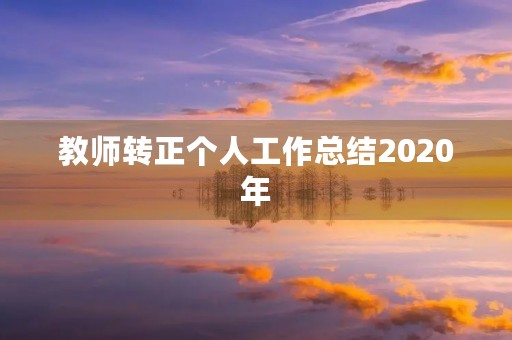 教师转正个人工作总结2020年