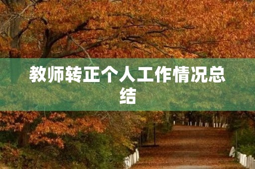 教师转正个人工作情况总结