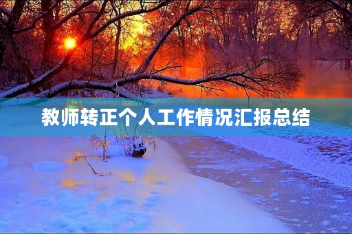 教师转正个人工作情况汇报总结