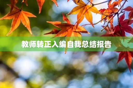 教师转正入编自我总结报告