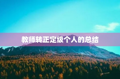 教师转正定级个人的总结