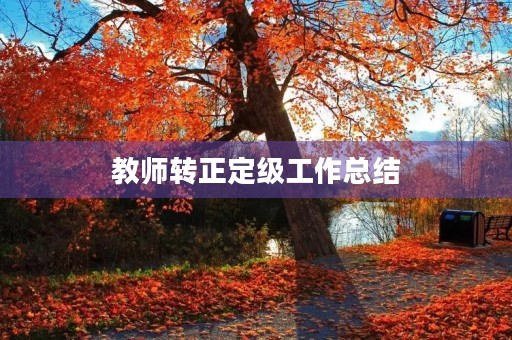 教师转正定级工作总结
