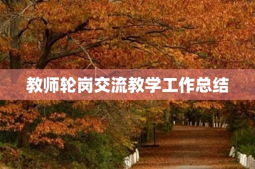 教师轮岗交流教学工作总结
