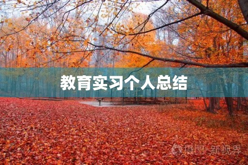 教育实习个人总结（10篇）