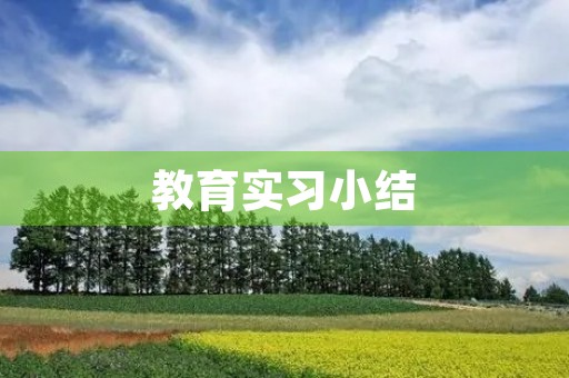 教育实习小结