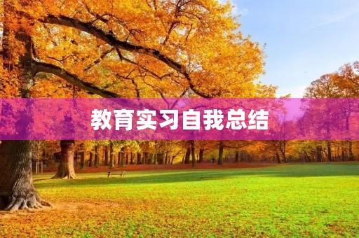 教育实习自我总结