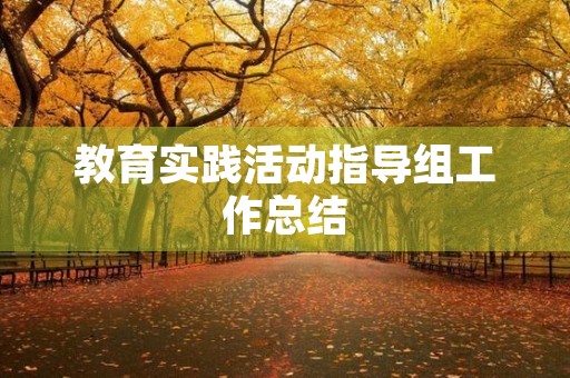 教育实践活动指导组工作总结