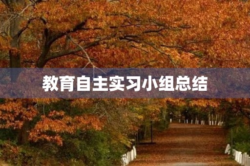 教育自主实习小组总结