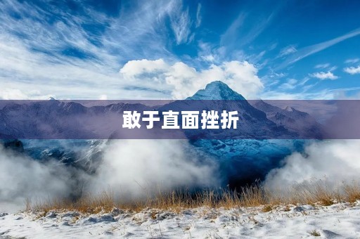 敢于直面挫折