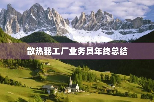 散热器工厂业务员年终总结