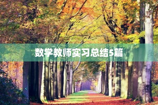 数学教师实习总结5篇 数学教师实习总结5篇