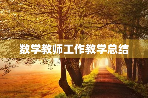 数学教师工作教学总结