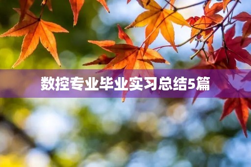 数控专业毕业实习总结5篇
