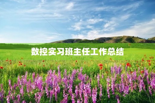 数控实习班主任工作总结 数控实习班主任工作总结