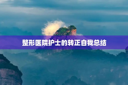 整形医院护士的转正自我总结