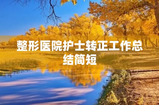 整形医院护士转正工作总结简短