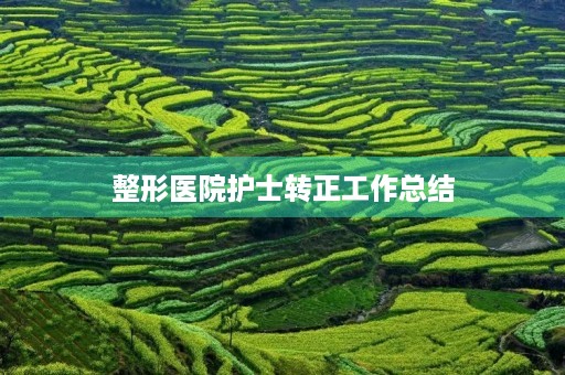 整形医院护士转正工作总结
