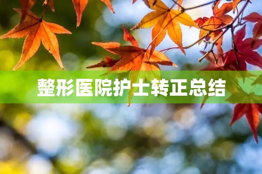 整形医院护士转正总结