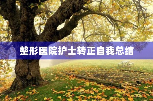 整形医院护士转正自我总结