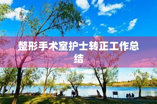 整形手术室护士转正工作总结