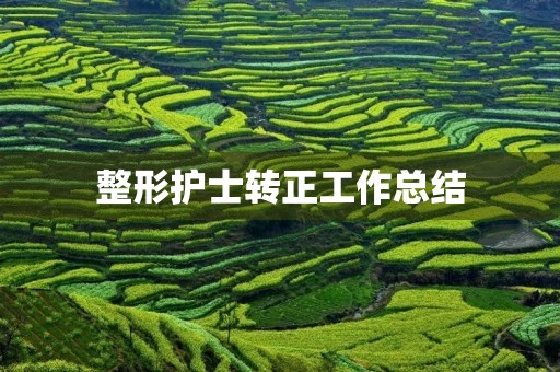 整形护士转正工作总结