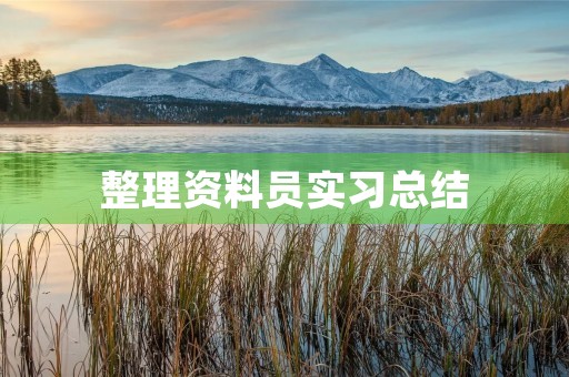 整理资料员实习总结 整理资料员实习总结