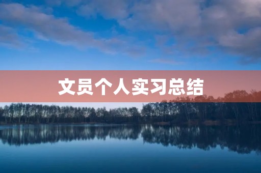文员个人实习总结