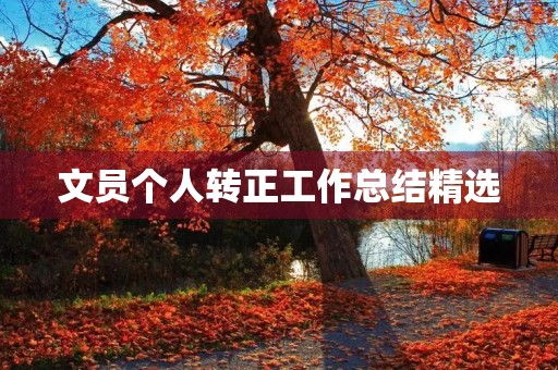 文员个人转正工作总结精选